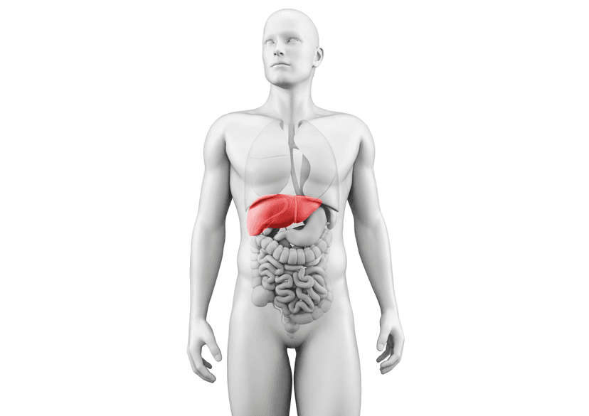 Liver on the Rocks: Alcohol, Sugar & the Fatty Liver Nobody Talks About